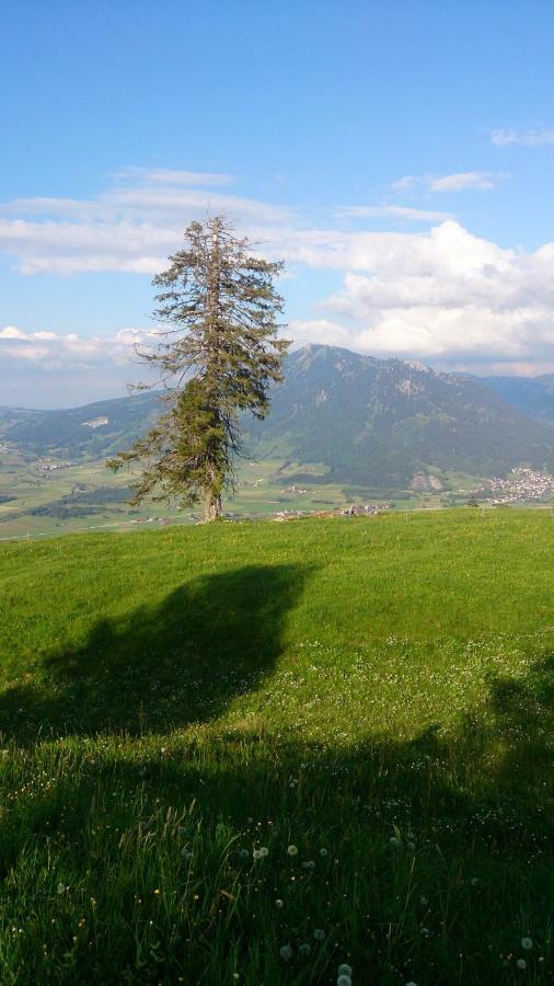 Ferienwohnung Schoenau Immenstadt im Allgäu Exterior foto